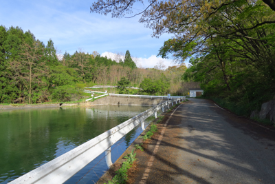 ・・・と言うわけで左の道に入り...