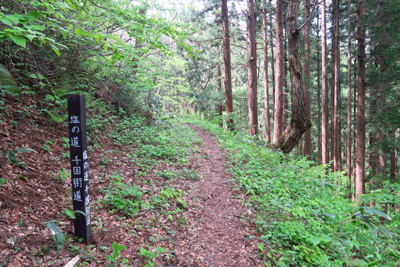 初めからこのくらい踏み跡がしっ...