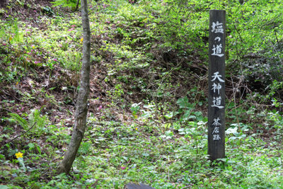 茶屋跡とある。なるほど、水場が...