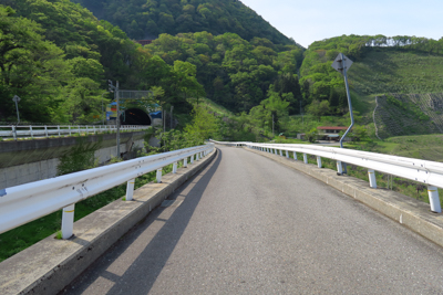 左奥に見えるトンネルが国号のト...