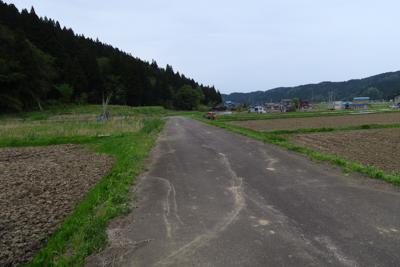 田園風景のなかを進みます。大網...