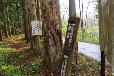 二又の又の所に道標がある。...