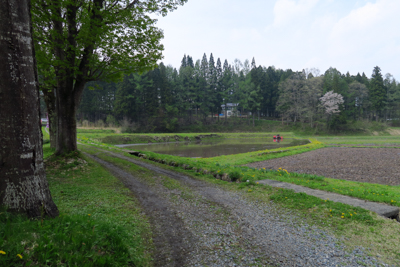 ・・・田園風景が広がる。道なり...