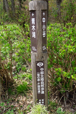 青木湖から16km過ぎた。今日...