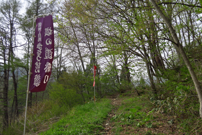 このノボリも塩の道祭りの副産物...