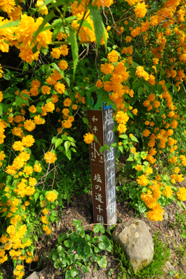 花に埋もれて道標があります。...