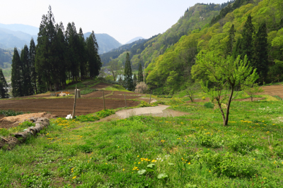 振り返る。あの山の向こうから歩...