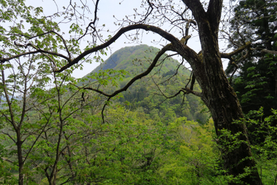 右上には特徴的な形の山（立山）...