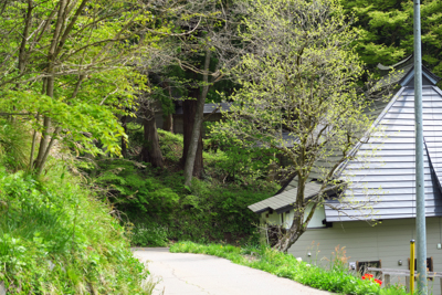 ・・・奥に池原諏訪神社が見えま...