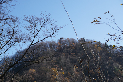 仏果山の展望が見える。誰かいる...