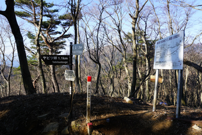 春岳山への分岐。この辺りがヤビ...