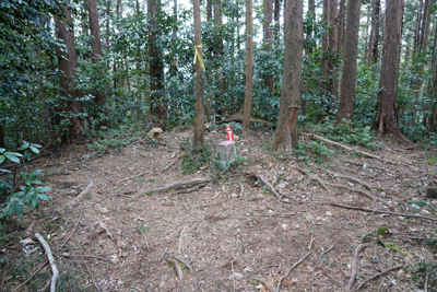 小さなピークに出た。ココまで来...