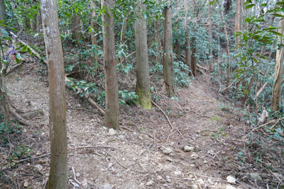 分岐。前回は左に進んでピークを...