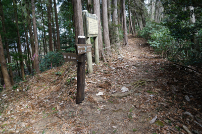 桜山への分岐。今回はスルー。...