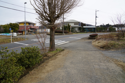 あっ！　道路に出た。この道はよ...