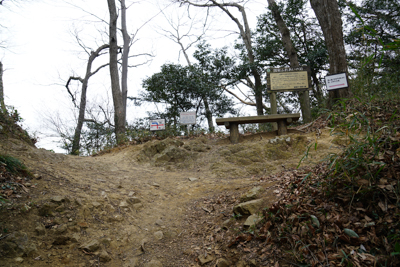 しばらくユルユルと登ると山頂稜...