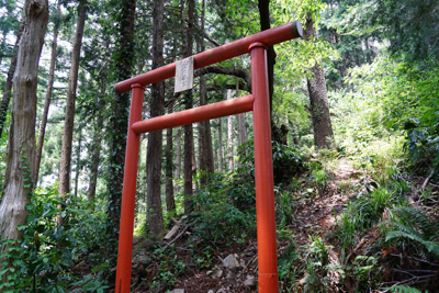 ちょっと本ルートを外れて、鳥居...