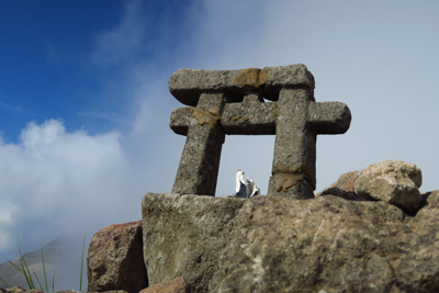 山頂に小さな鳥居があった。...