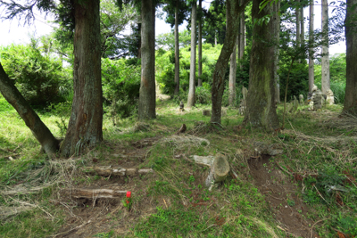 通常は、駐車場から舗装道を通っ...