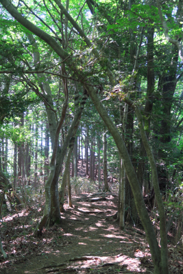 まずは権現平方面へ向かいます。...