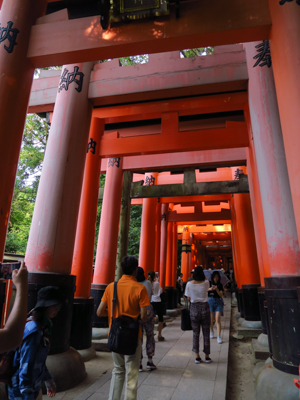 千本鳥居。昨年この先の四ツ辻ま...