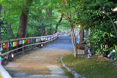 まぁ、御土居って言っても公園の...