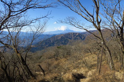 前景が入るここからの富士山も結...