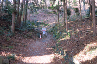 さぁ、一気に登山道になった。...