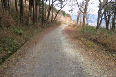 ・・・すぐに太い道に出た。車も...