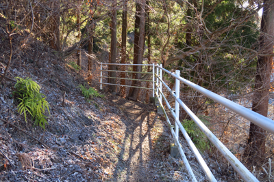 ・・・ここからが本格的な登山道...