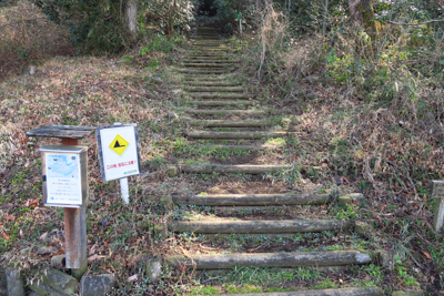 ここから本格的な登山道になりま...