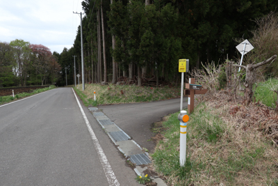 しばらく歩くと分岐があり、その...