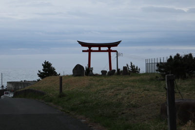 近くまでは寄れないけど、遠くに...