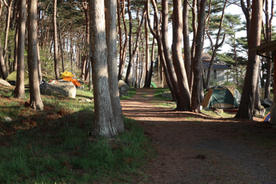 樹林帯の中のキャンプ場。この立...