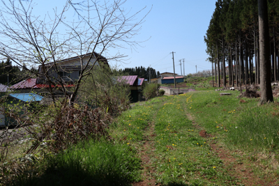 あれ？　民家が見えてきた。...