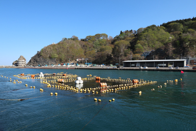 ドラマでは袖が浜。...